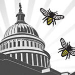DC Beekeepers Alliance
