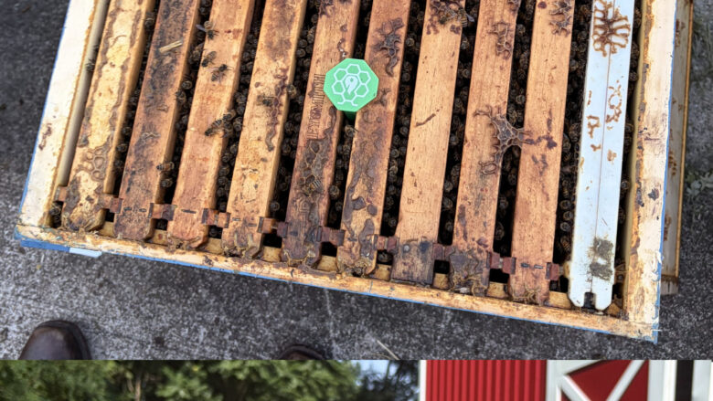 Thermahive sensors and control box